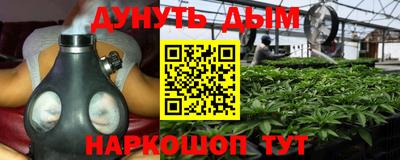apvp Нальчик