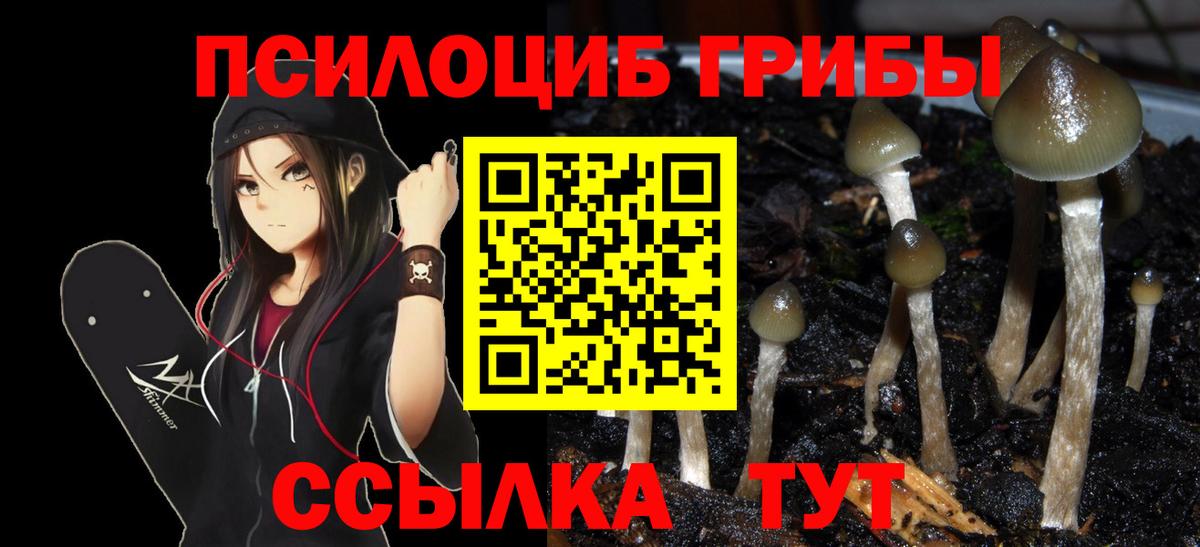 Галлюциногенные грибы мухоморы  дарнет шоп  Саров  Вход с VPN 